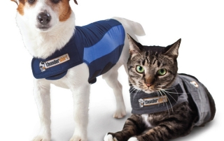Thunder shirt dog and cat
