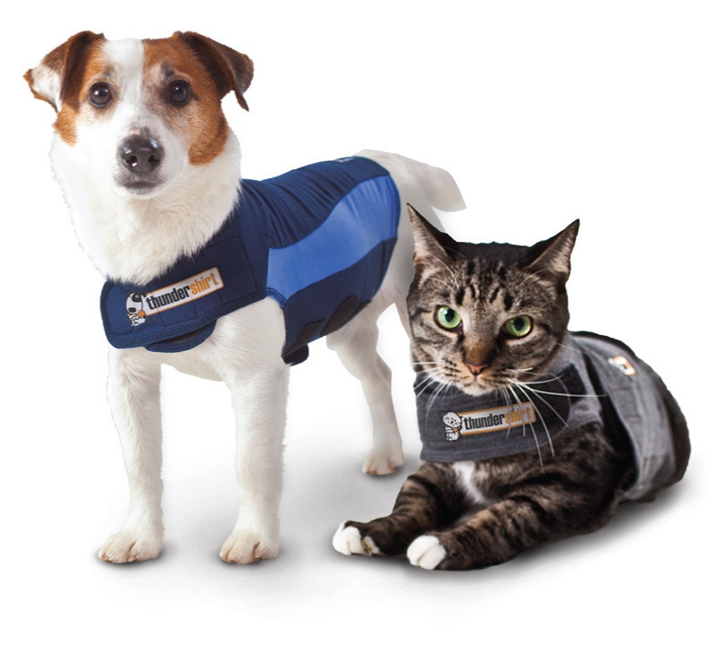 pets with thunderbuddy vest