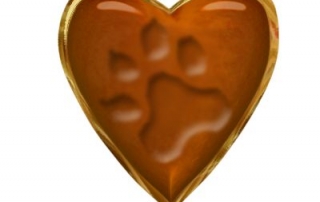 Our pets' love makes a deep and lasting impression.