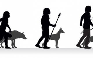 evolution of man and dog