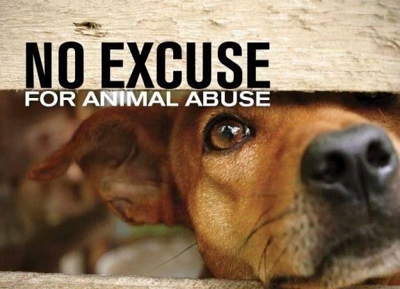 Animal Cruelty Prevention