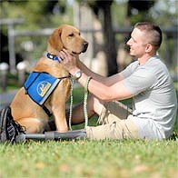 First Lieutenant Jeffrey Adams & Service Dog, Sharif. Assistance (or service) dogs, unlike military working dogs, help military personnel in their civilian lives. Courtesy Canine Companions for Independence (cci.org).