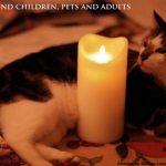 Cat with Flameless Candle