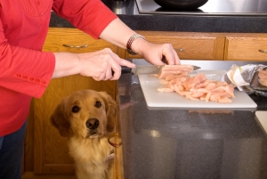 Homemade-dog-food