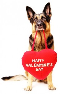 Dog Holding Valentine's Heart